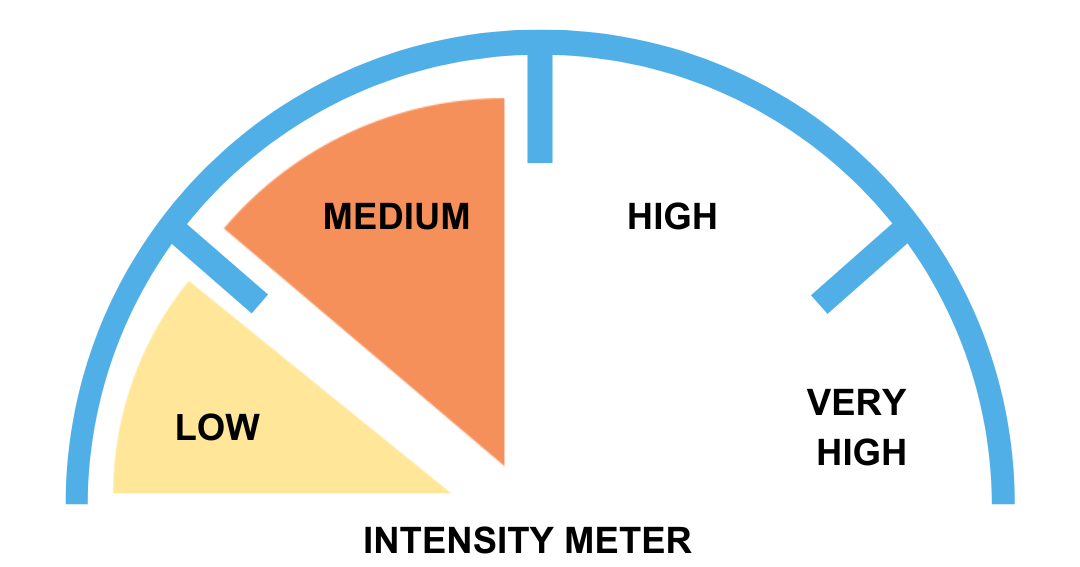 Intensity Meter | Low Intensity | Medium Intensity | High Intensity | Very High Intensity